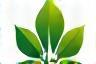Tierra Viva Consultores logo